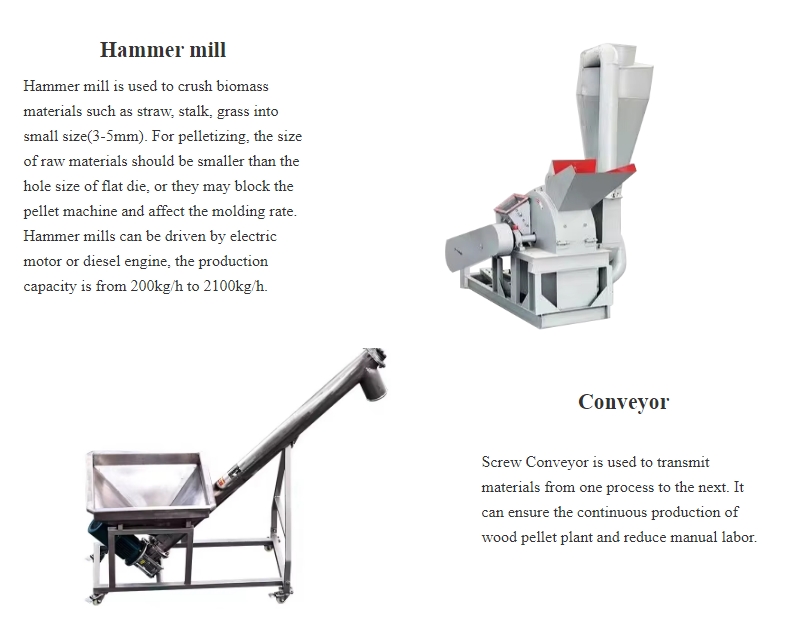 crusher and conveyor